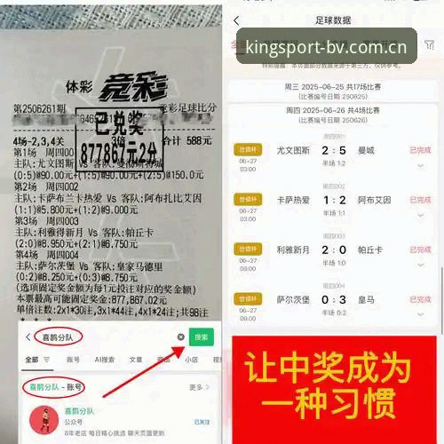 BV宝威体育平台入口 BV宝威体育平台入口选择:官方正版VS仿冒站点,体育迷该如何精准识别?